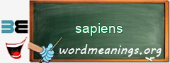WordMeaning blackboard for sapiens